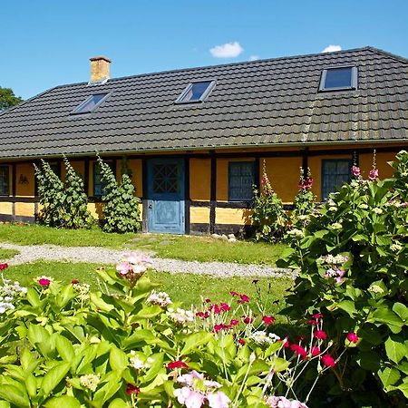 Mollegade 1 Holiday House Норборг Экстерьер фото